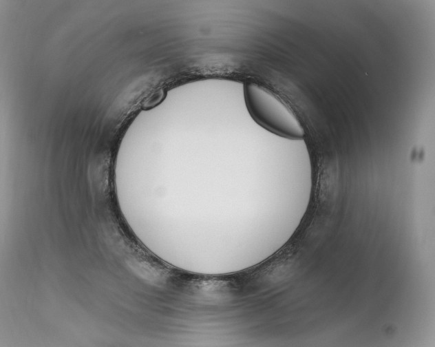 X0000110740501200907061011