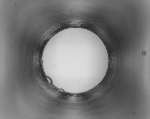 X0000110740504200907061011