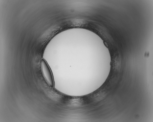 X0000110740505200907061011