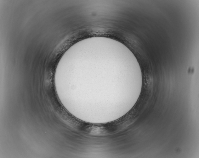 X0000110740507200907061010