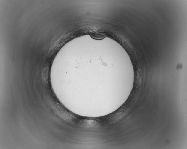 X0000110740509200907061010