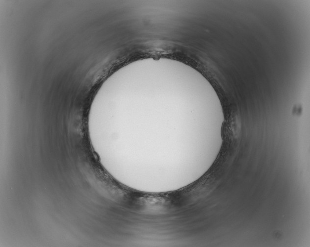 X0000110740512200907061010