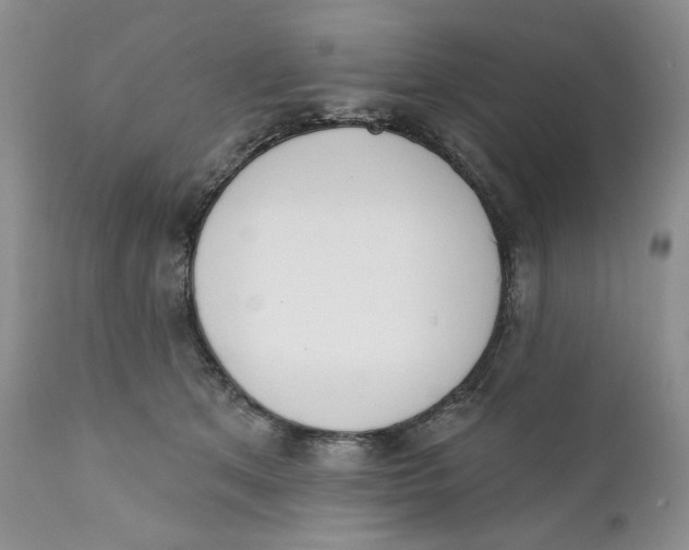 X0000110740513200907061010