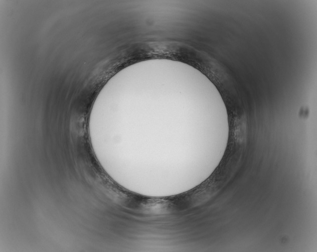 X0000110740514200907061010