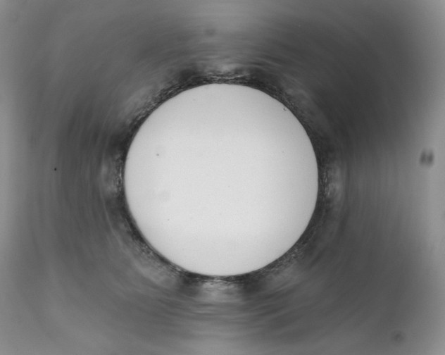 X0000110740515200907061010