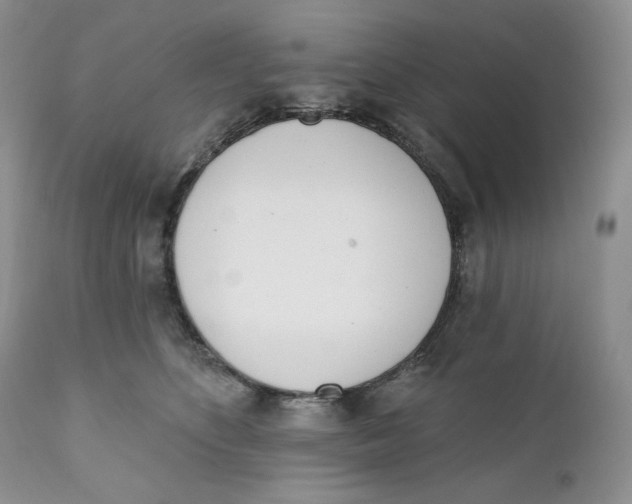 X0000110740516200907061010