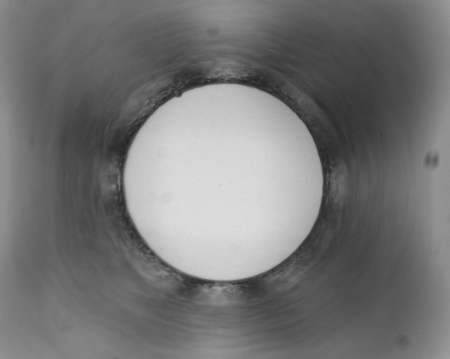 X0000110740517200907061010