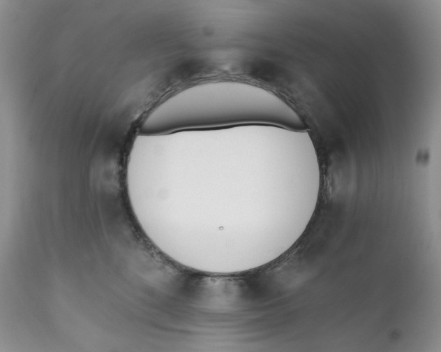 X0000110740520200907061010