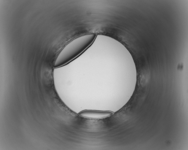 X0000110740521200907061010