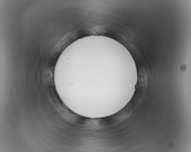 X0000110740523200907061010