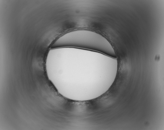 X0000110740524200907061010