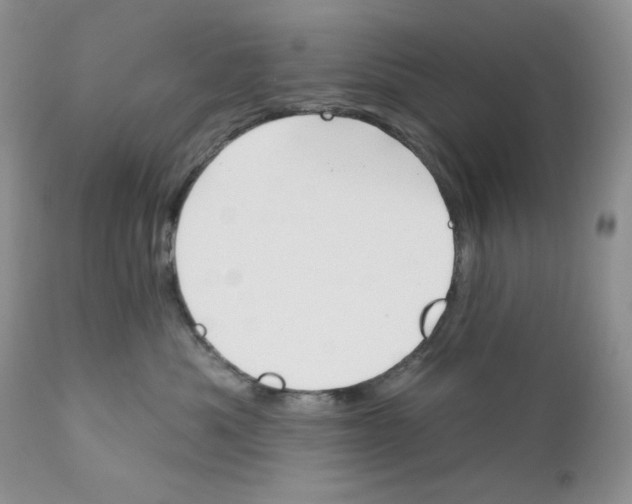 X0000110740525200907061010