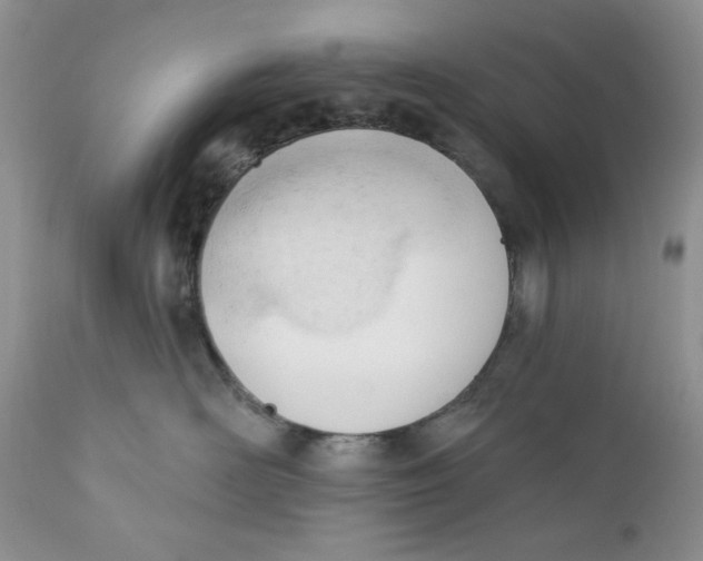 X0000110740526200907061010