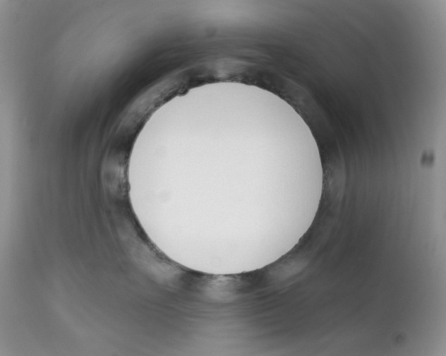 X0000110740527200907061010