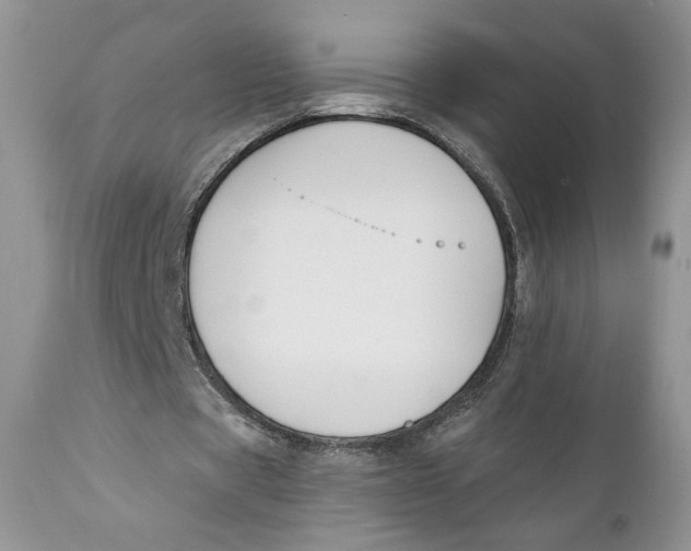 X0000110740529200907061009