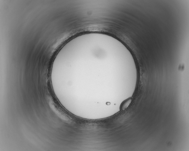 X0000110740530200907061009