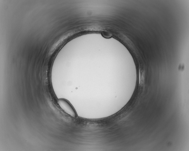 X0000110740531200907061009