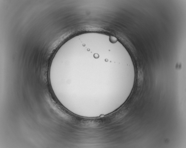 X0000110740533200907061009