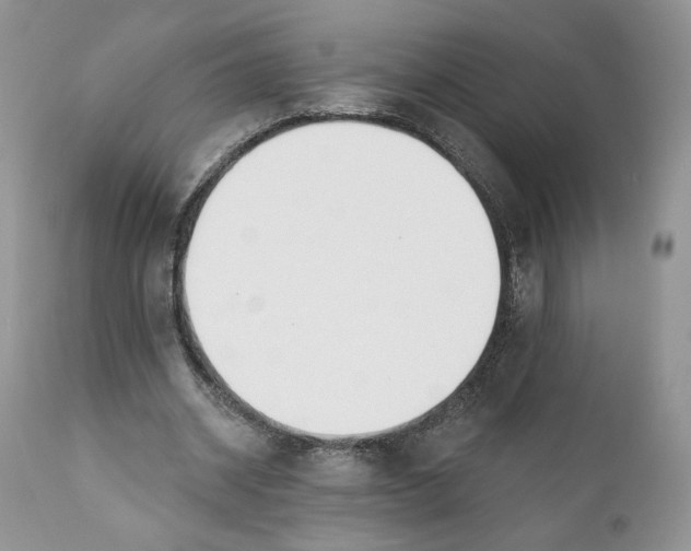 X0000110740534200907061009