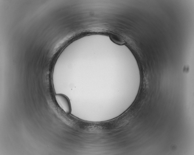 X0000110740535200907061009