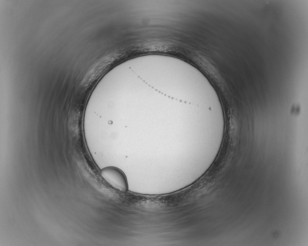 X0000110740537200907061009