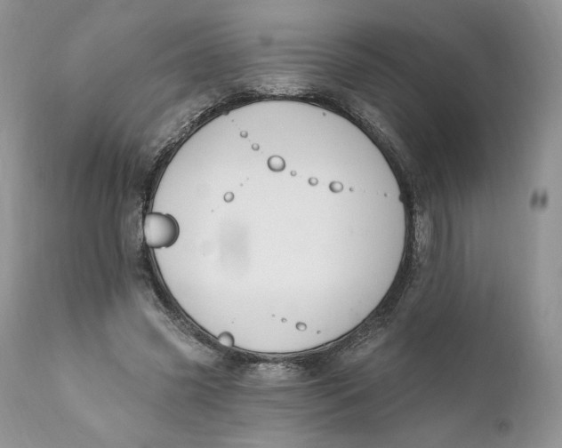 X0000110740541200907061009