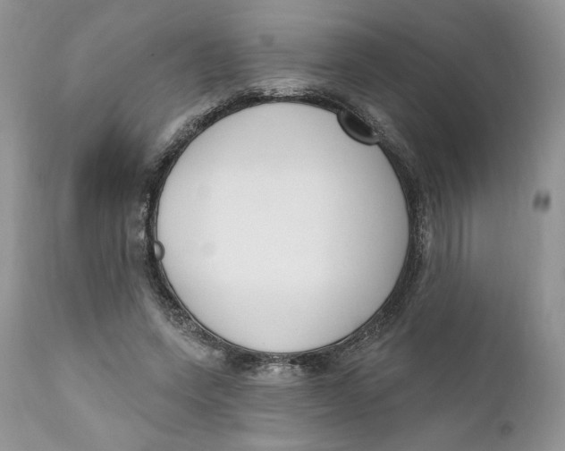 X0000110740543200907061009