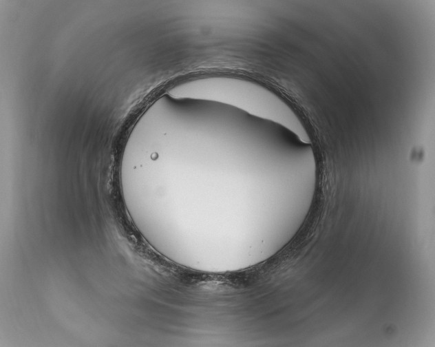 X0000110740544200907061009