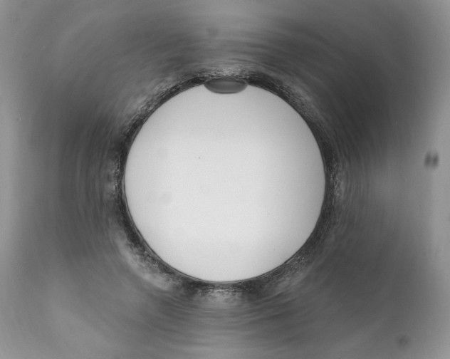 X0000110740546200907061009