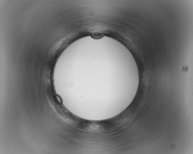 X0000110740547200907061009