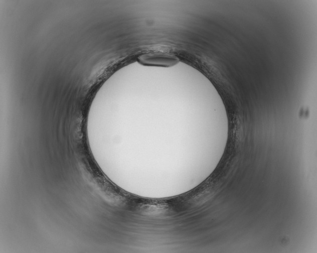 X0000110740548200907061009