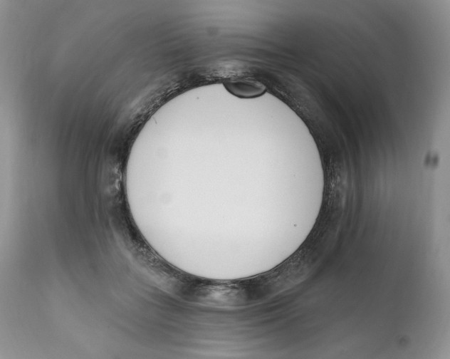 X0000110740555200907061010