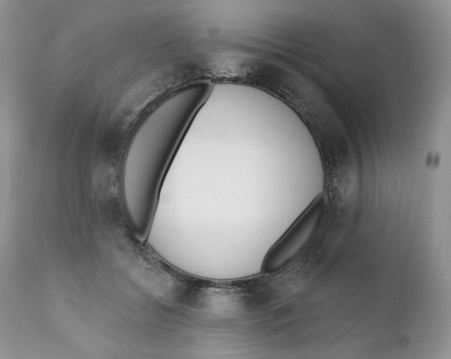 X0000110740556200907061010