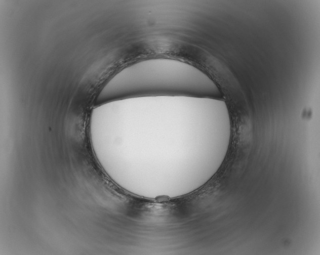 X0000110740558200907061010