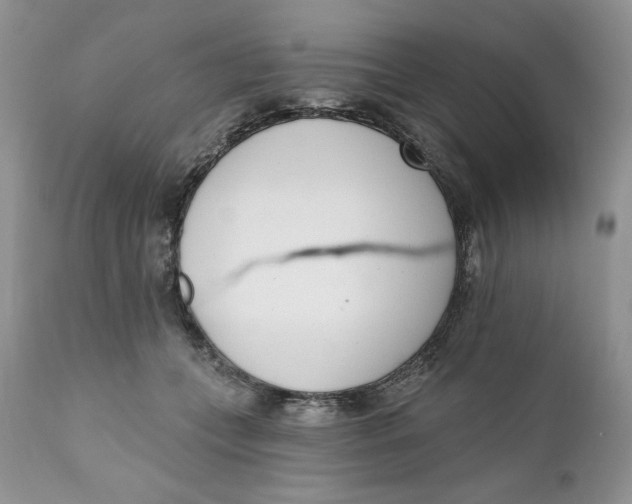 X0000110740559200907061010