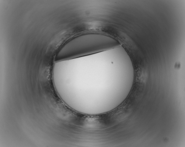 X0000110740560200907061010