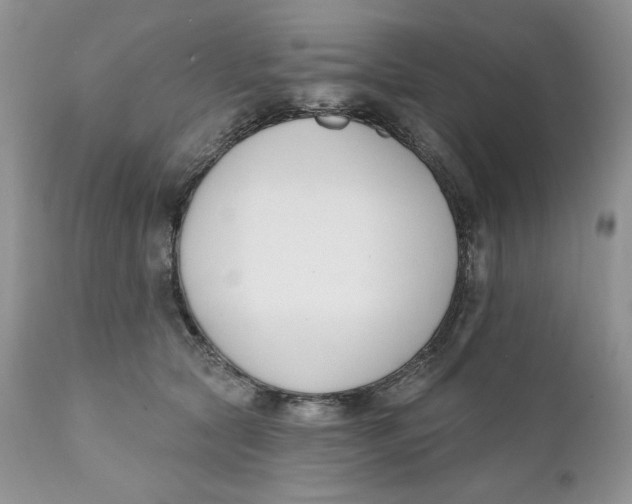 X0000110740561200907061010