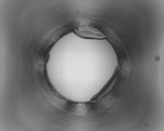 X0000110740562200907061010