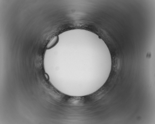 X0000110740563200907061010