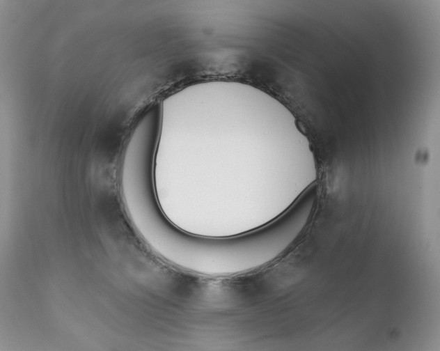 X0000110740564200907061010