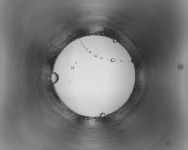 X0000110740565200907061010