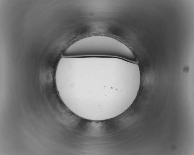 X0000110740570200907061010