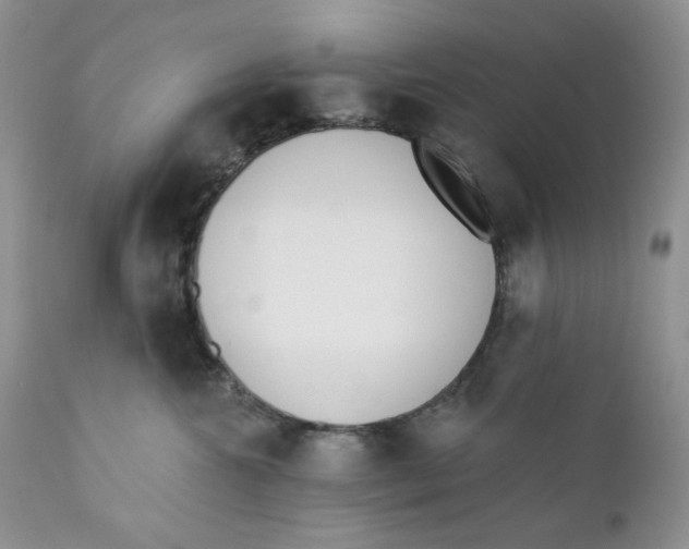 X0000110740572200907061010