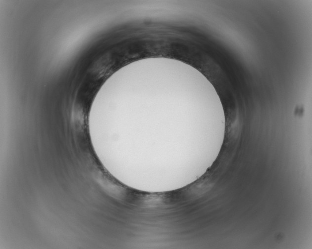 X0000110740574200907061010