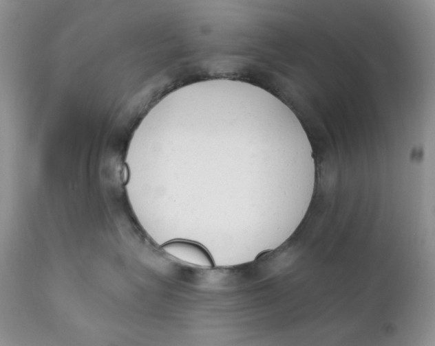 X0000110740575200907061010