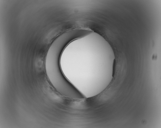 X0000110740576200907061010