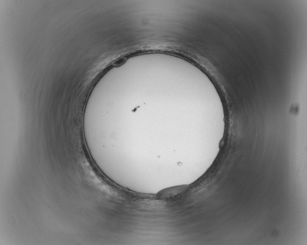 X0000110740577200907061009