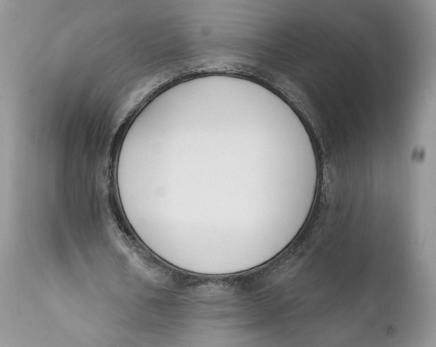 X0000110740578200907061009