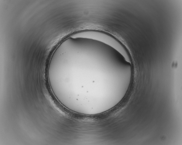 X0000110740581200907061009