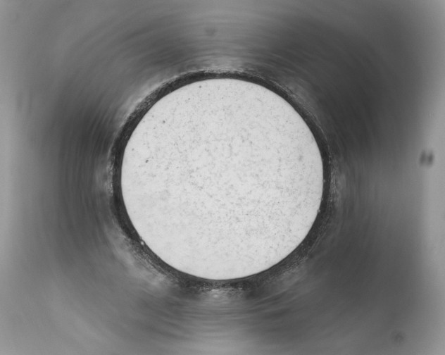 X0000110740584200907061009